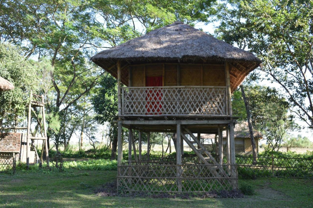 Dhansiri Eco Camp Bokākhāt Exterior foto